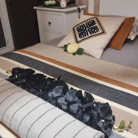 Bohemian Elly 홈스테이 *