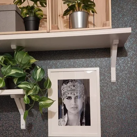 홈스테이 Bohemian Elly 바르나