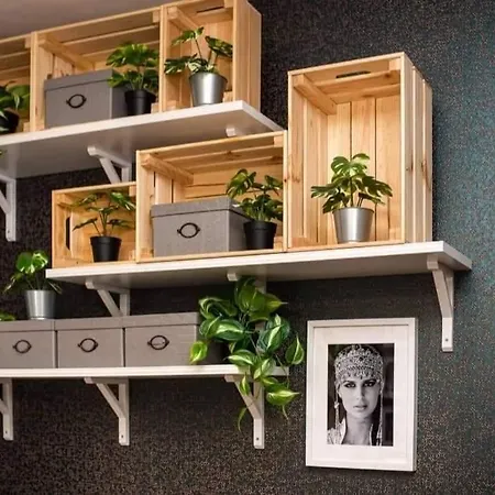 Homestay Bohemian Elly