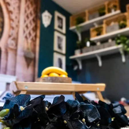 Bohemian Elly فارنا