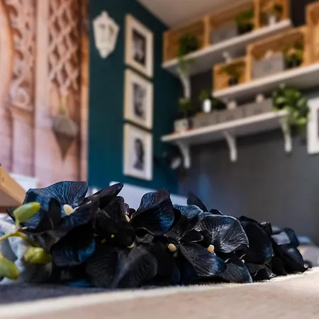 Bohemian Elly منزل للإقامة فارنا