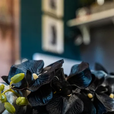 Bohemian Elly Homestay *