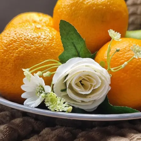 منزل للإقامة Bohemian Elly *