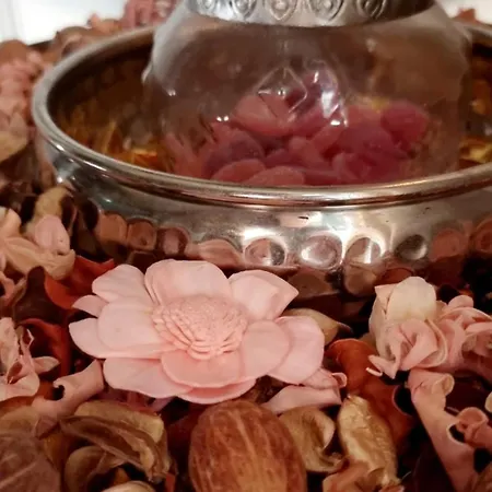 Bohemian Elly Homestay Varna