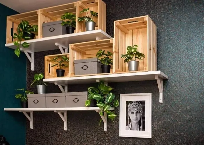 Проживание в семье Bohemian Elly