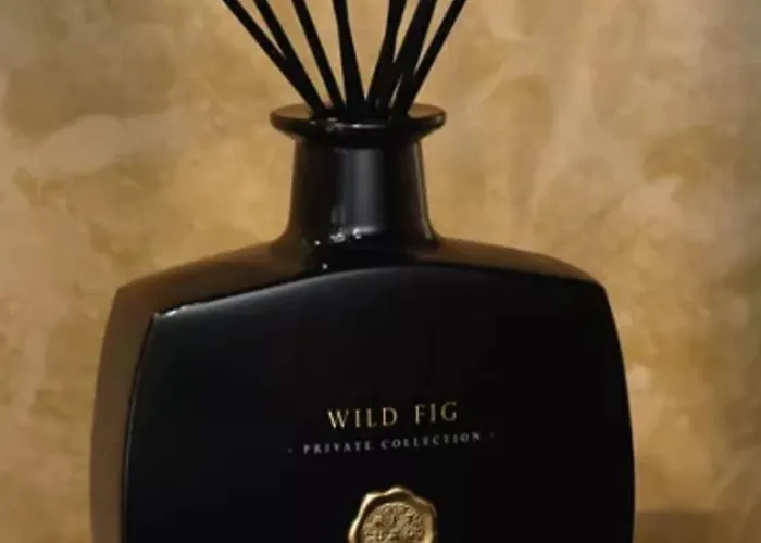 Homestay Bohemian Elly *