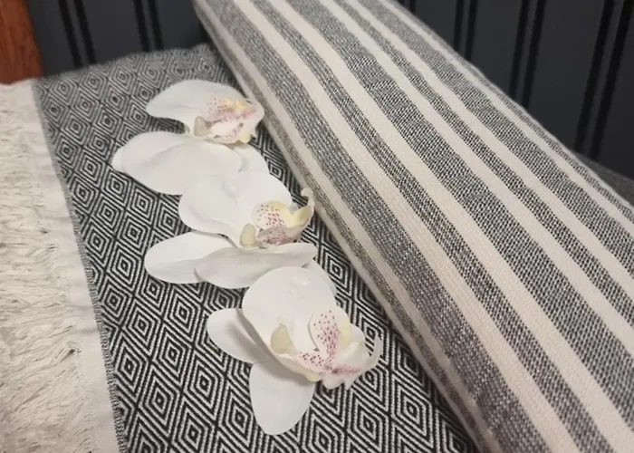 Homestay Bohemian Elly